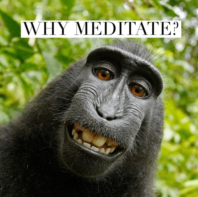 Why meditate?